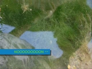 Bétisier clip medley Fabien Martin