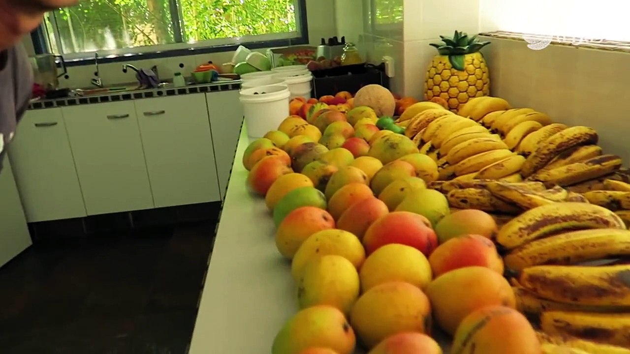 FullyRaw $620 Produce Haul