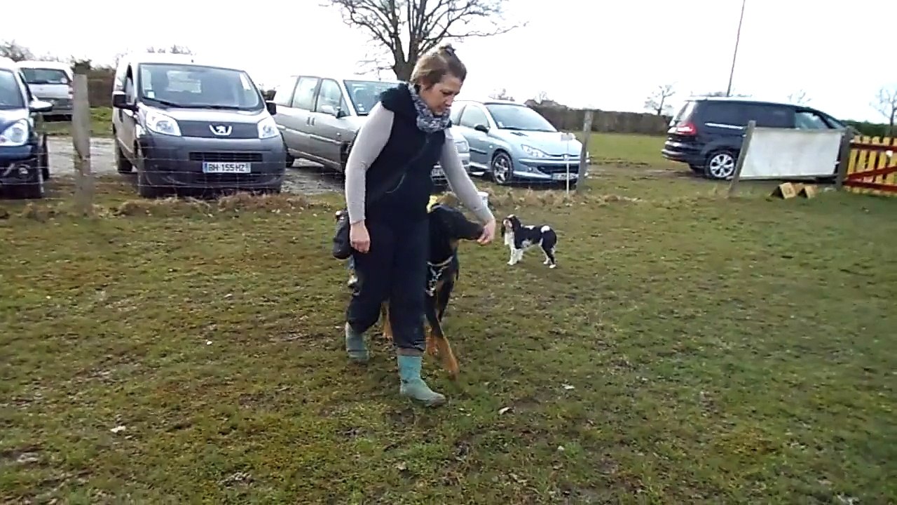 DE LA VERTE ALBION 2015  04