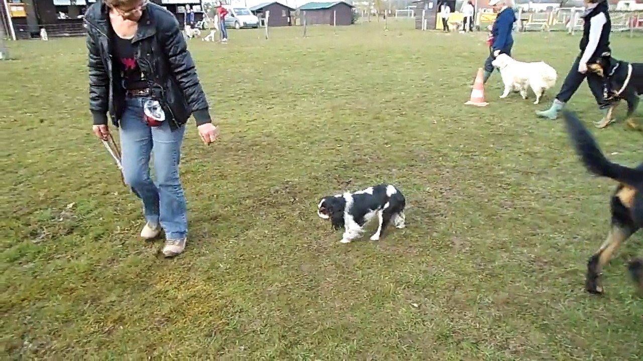 DE LA VERTE ALBION 2015 06