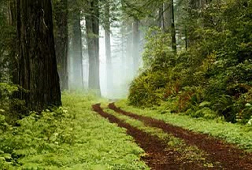 Very Funny Marathi Prank Call