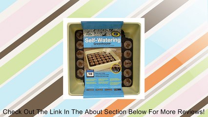 Plantation Productyes Jiffy Self Watering Greenhouse Review