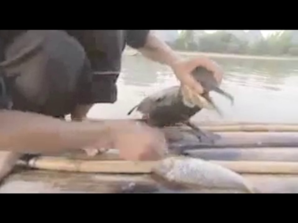 Amazing fishing technique