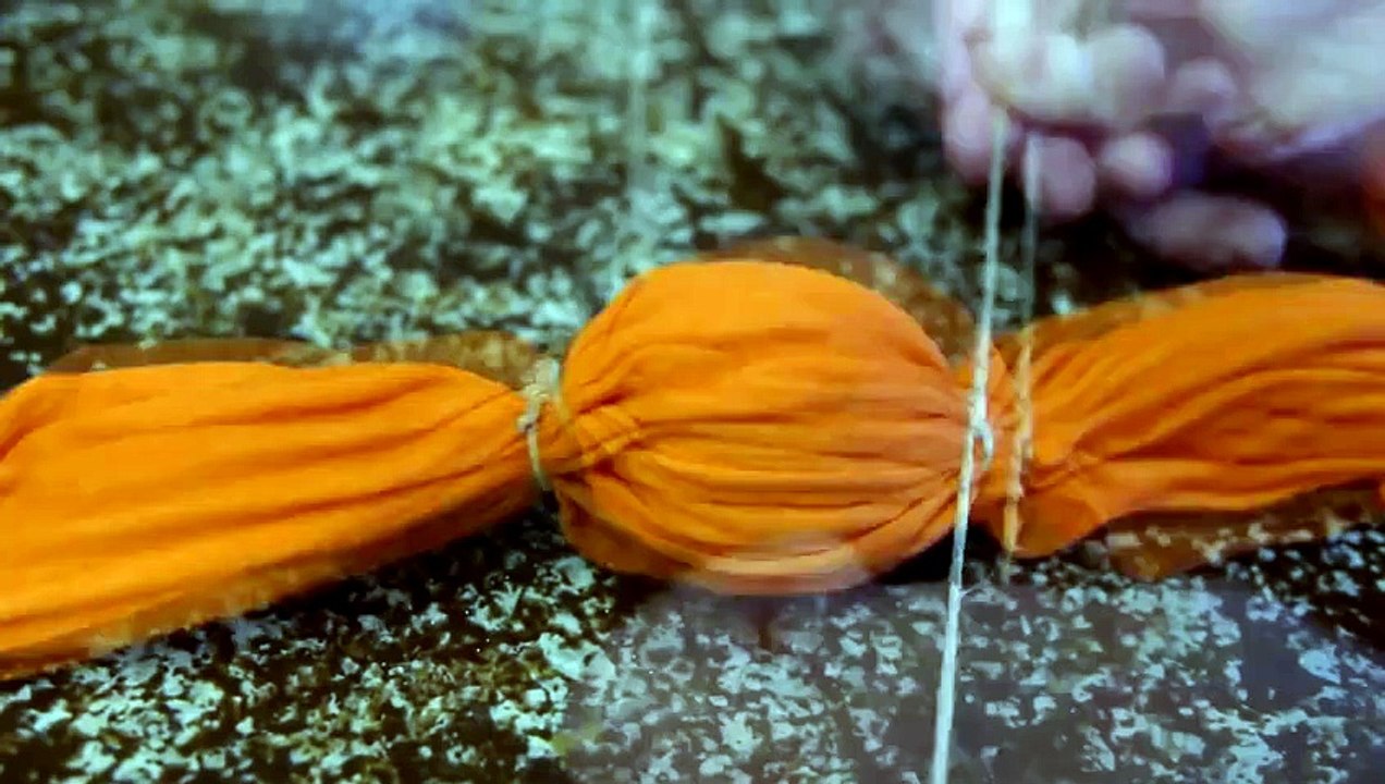 Comment mélanger des oeufs dans leur coquille