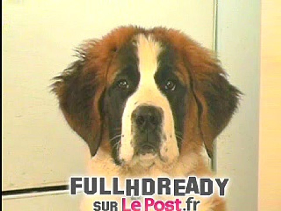 La destruction des Appalaches par la cupidité