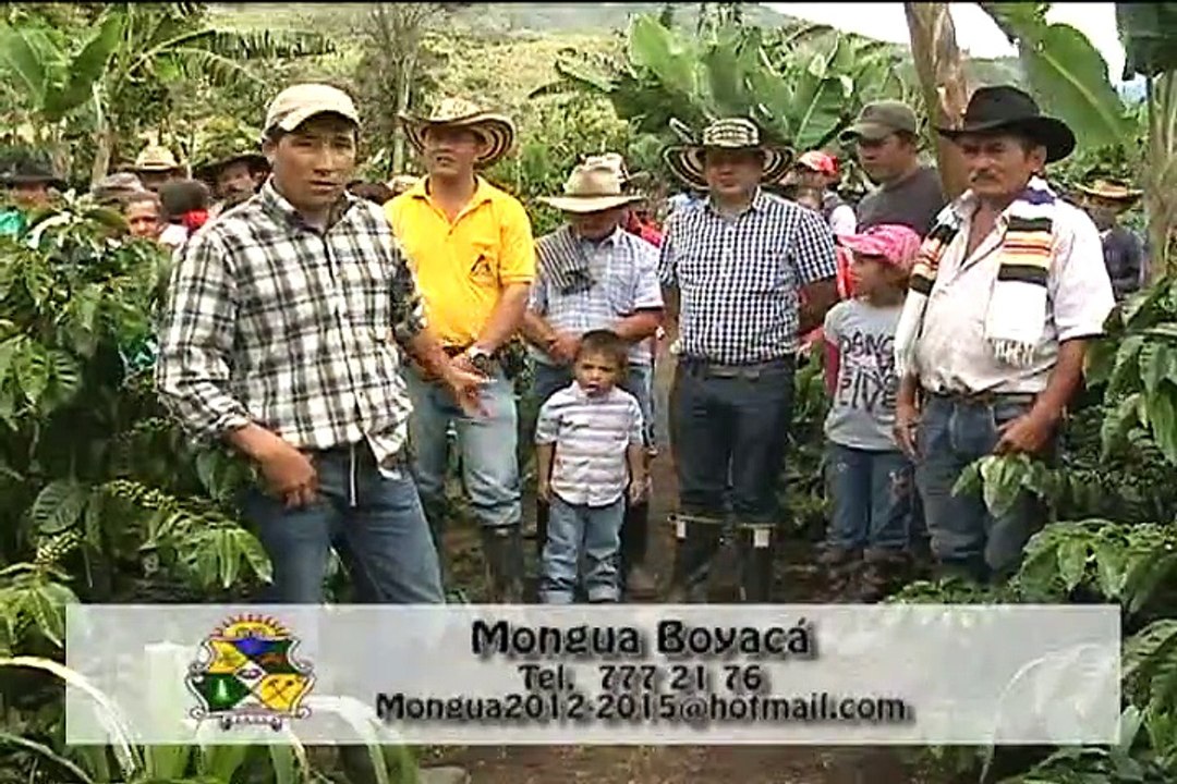 7 de marzo de 2015 Mongua.