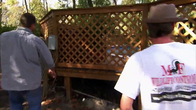 Python Hunters - Backyard Python Rescue