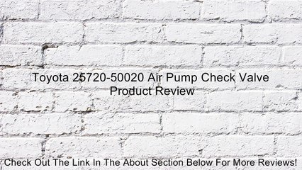 Toyota 25720-50020 Air Pump Check Valve Review