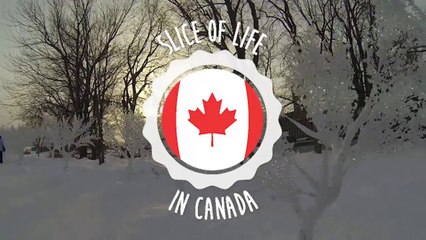 Slice Of Life - Janvier/Février15