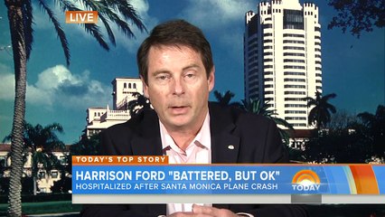 Harrison Ford Plane Crash: A ‘Meticulous’ Pilot | TODAY