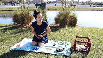 The Necklace That Makes Dreams Come True