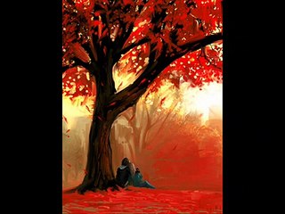 Rj Humair Aas Bukhari Poetry Wo Ajeeb Sa Koi Admi