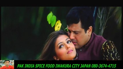 Tu+ Jo+ Hans+ Hans +Ke Sanam   Raja Bhaiya   HD スパイスハラルフード　岩倉市ジャパンjapan halal food spice
