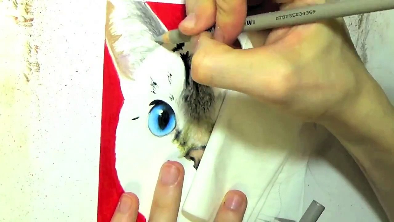 Drawing Nala