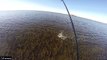 Fishing Florida Grass Flats with Jerkbaits for Redfish, Trout, and Snook