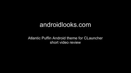 Atlantic Puffin - Amazing Android Phone Theme