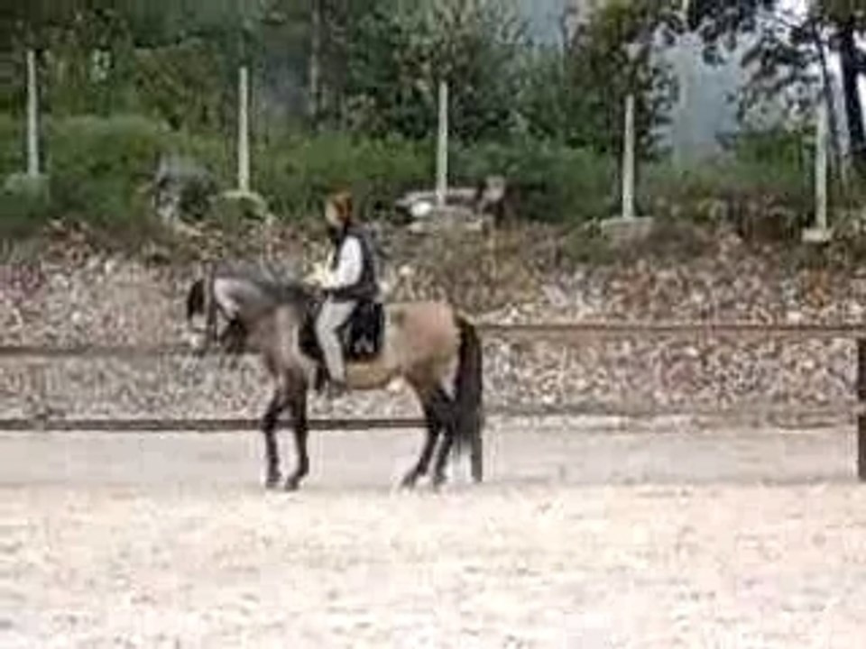 elevage cedric morel