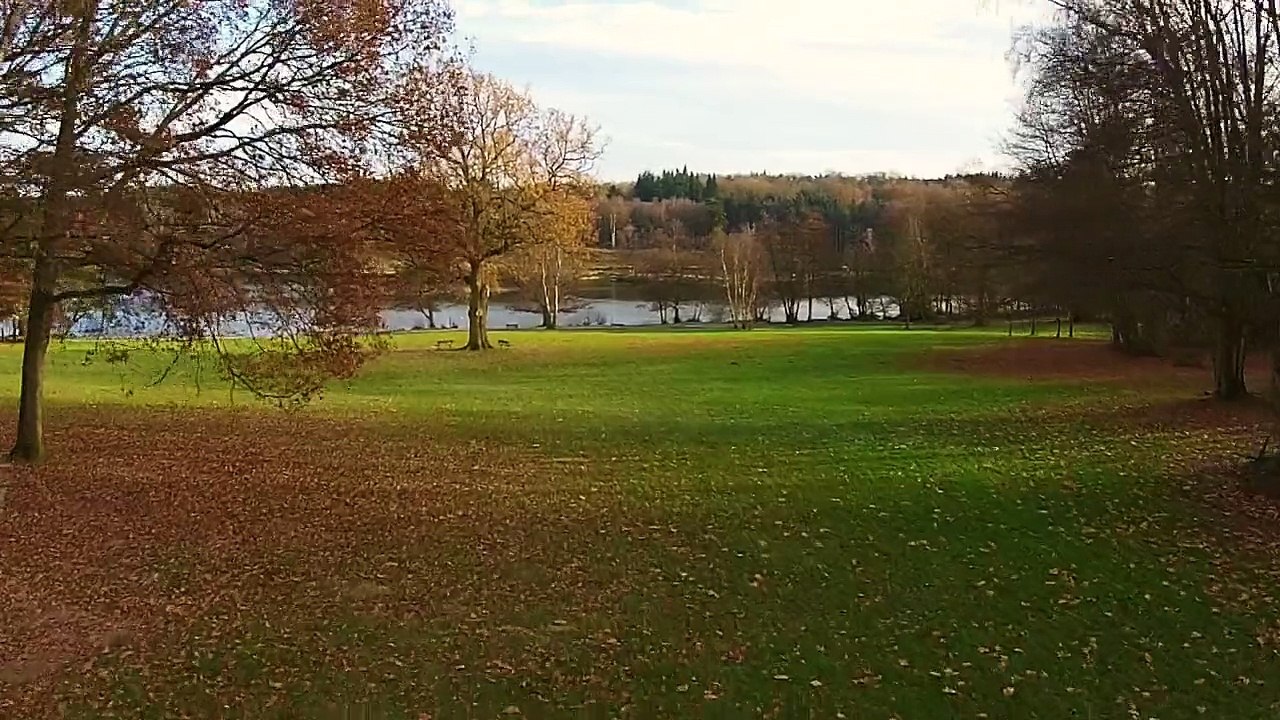 Tilgate Park