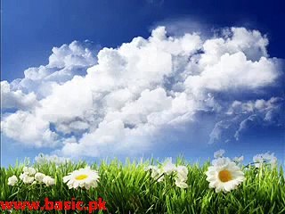 When Sultan Mahmud Gaznavi Grave Open