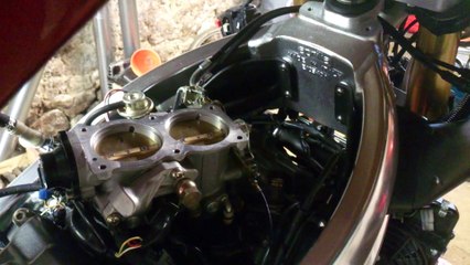 Premiers aboiement depuis 2ans et demi