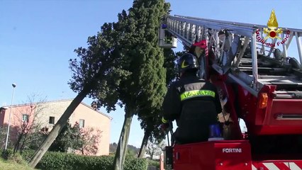 Prato - Maltempo (06.03.15)