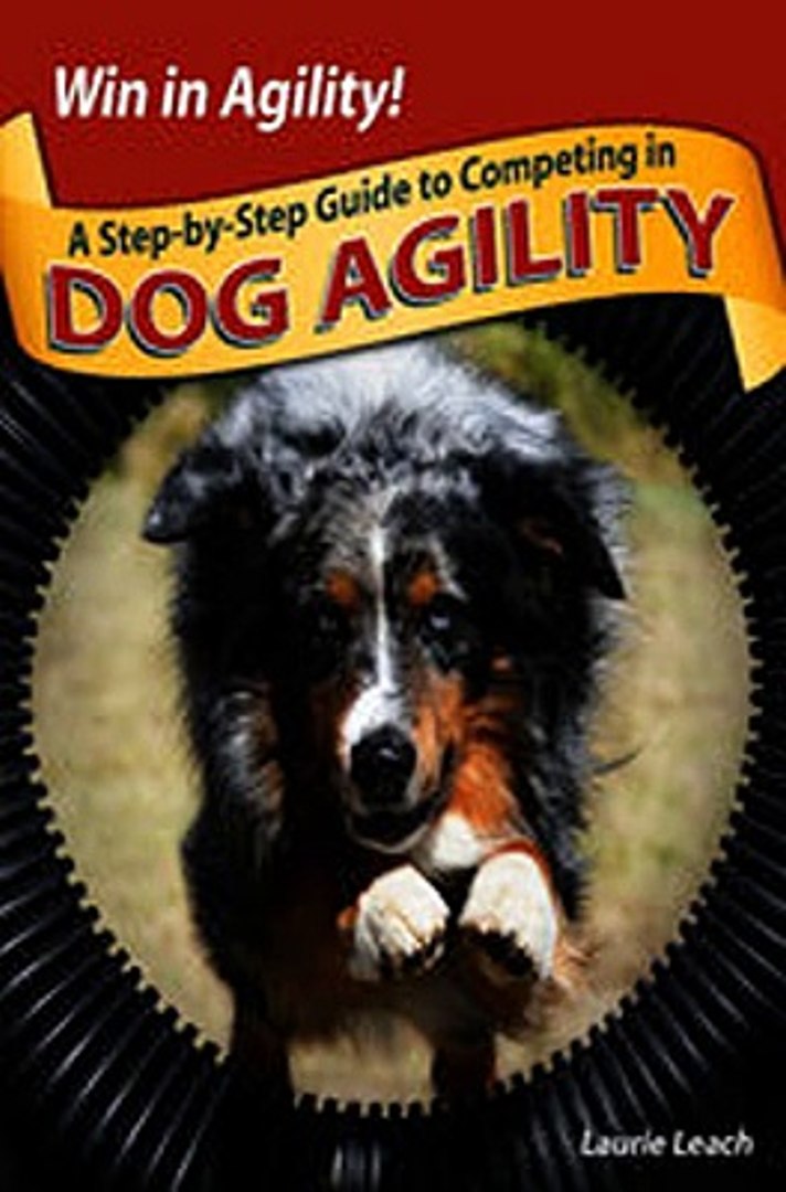 Download The Intermediate S Guide To Dog Agility Ebook Pdf Epub