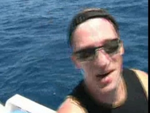 Thon à dents de chien - 50Kg