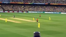 ICC Cricket World Cup 2015 - Best Moments And Catches -