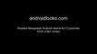 Hooded Merganser - Nice Android Smartphone Theme
