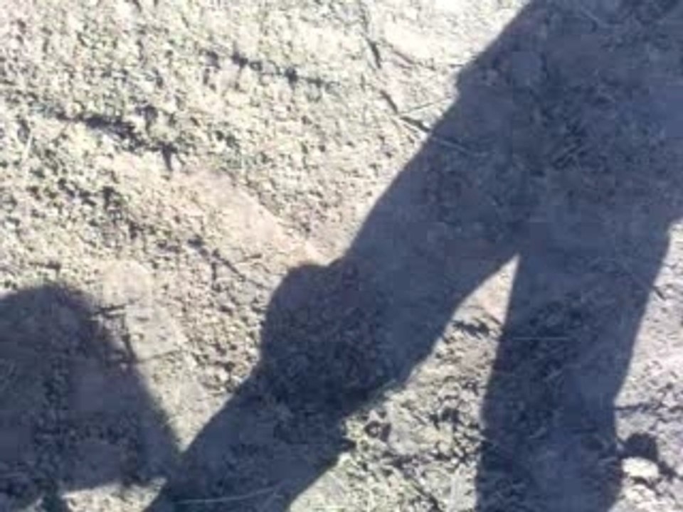 Vidéo020