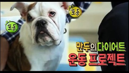 애니멀즈 7회 20150308 FULL HD 애니멀즈 7화