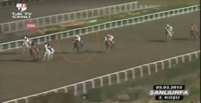 TJK, Atını Döverek Bayıltan Jokeyi Kınadı