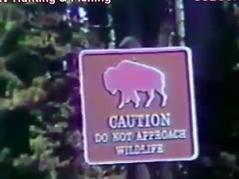 Horrible animal attacks on humans!!! Ужасные нападения животных на людей!!!