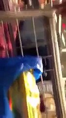 Custom Officers taking Bribe at Islamabad Airport