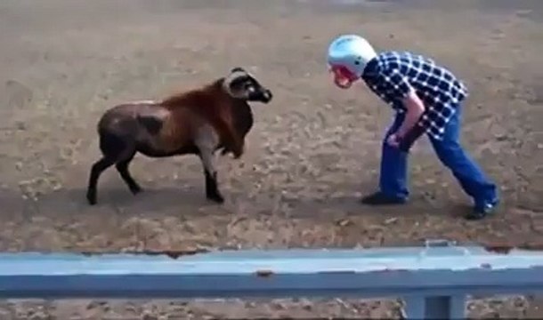 ھاھاھا اس پاگل کے بچے کے کام چیک کریں