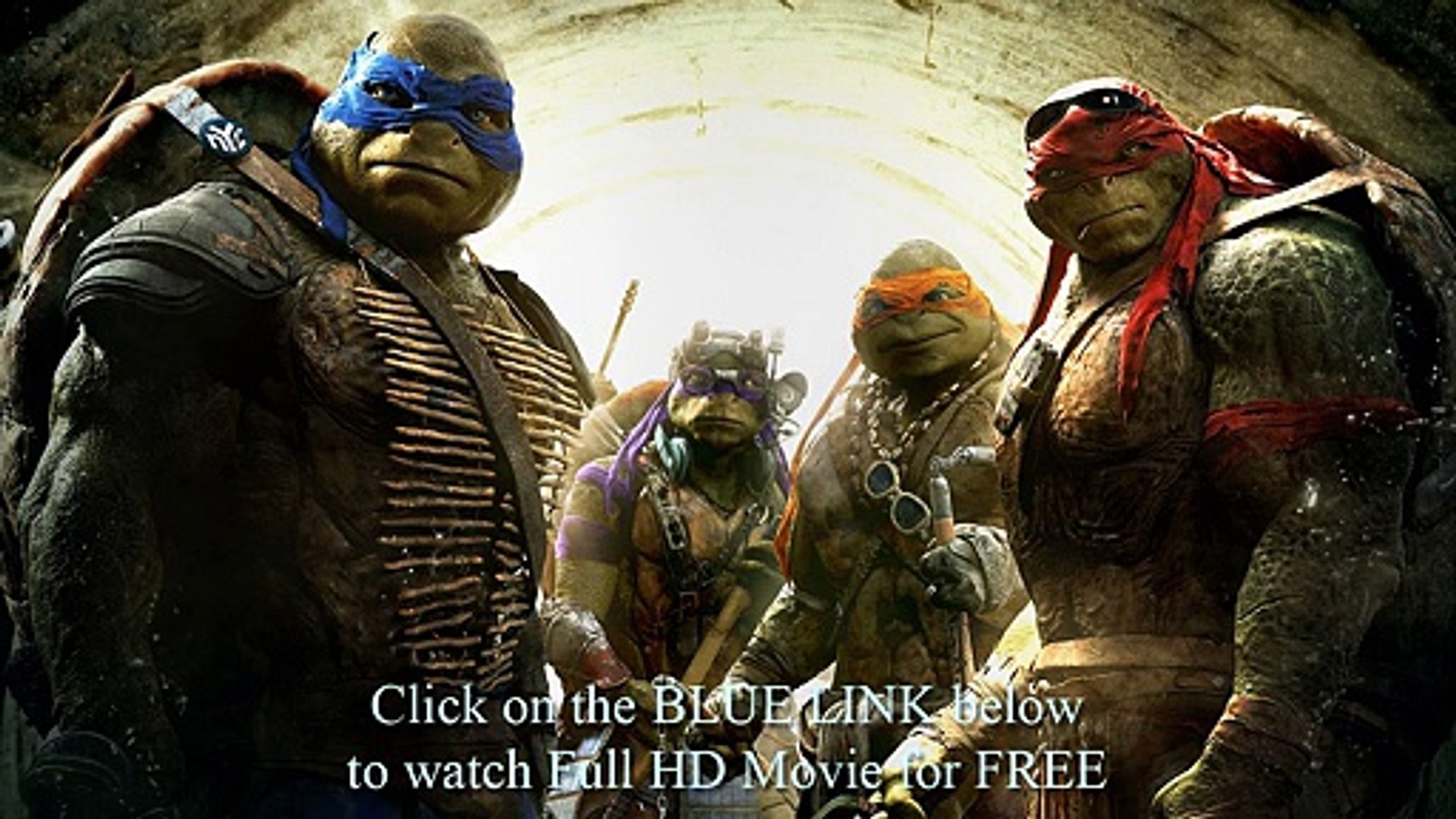 Teenage Mutant Ninja Turtles 14 Video Dailymotion