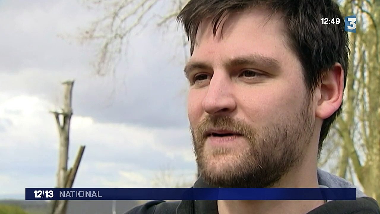 Bourgogne : les cigognes sont de retour