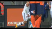 Goal Fekir - Montpellier 1-2 Lyon - 08-03-2015