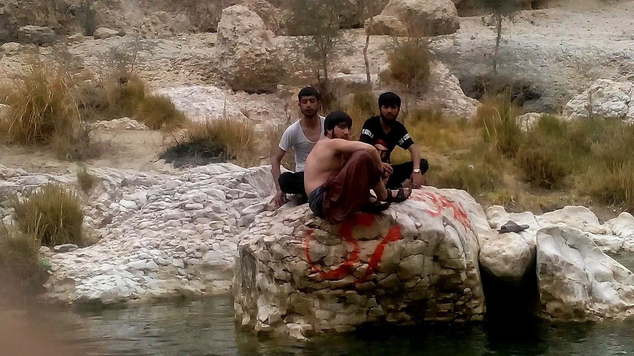 Bolan