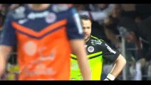 Goal Fekir - Montpellier 1-3 Lyon - 08-03-2015