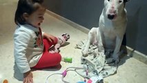 YouTube: No podía jugar al veterinario hasta que apareció un buen paciente