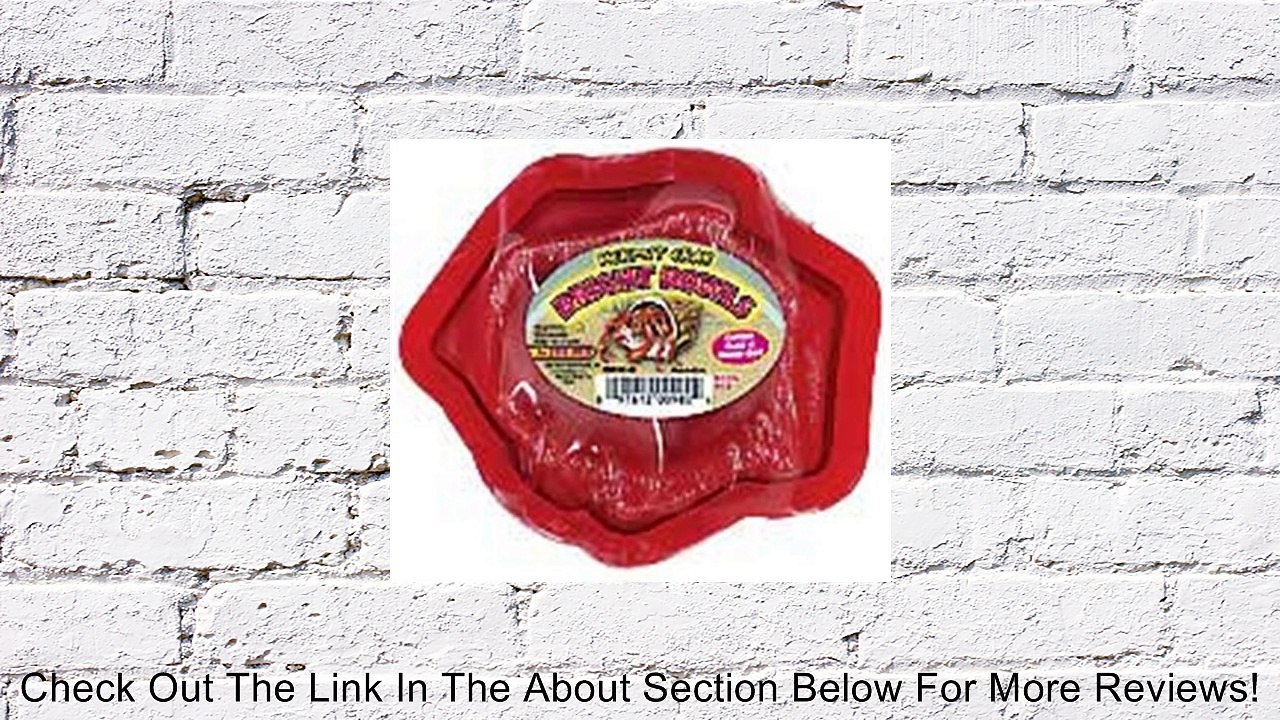 Zoo Med Hermit Crab Bright Bowl Review