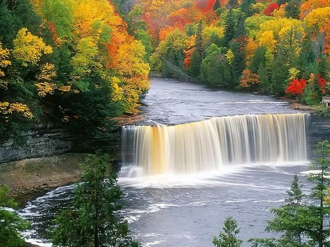 Música relajante, meditación Chinese Bamboo Flute Yoga, Natural sounds