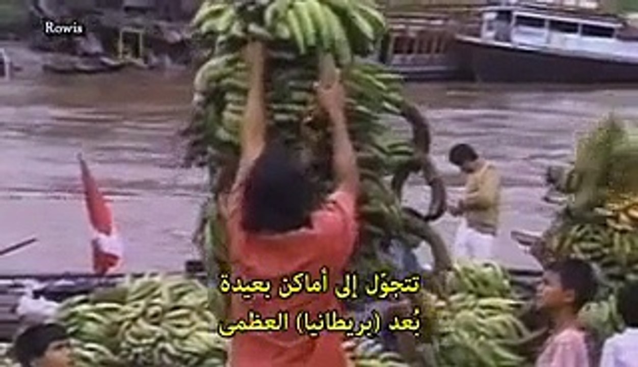 وثائقي Nat Geo - أكثر حيوانات العالم خطراً - الامازون - فيديو