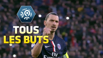 Tous les buts de la 28ème journée - Ligue 1 / 2014-15