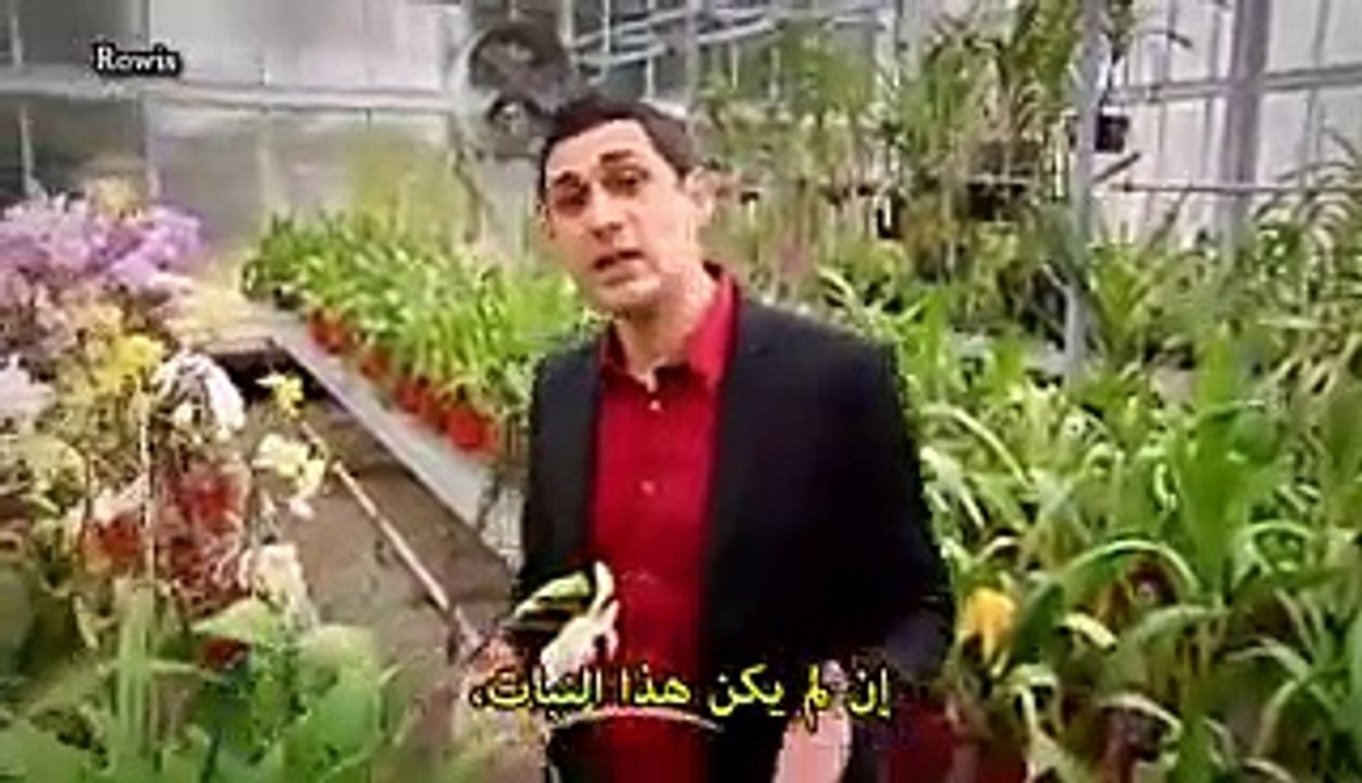 وثائقي BBC - سلسلة الخلية -1- المملكة الخفية ...