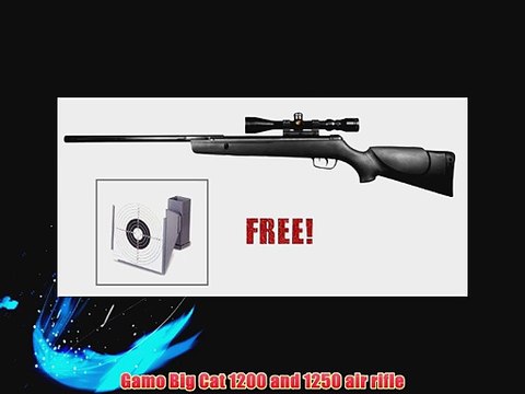 Gamo Big Cat 1200 and 1250 air rifle