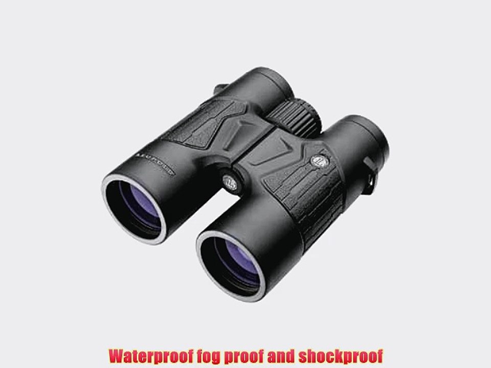 Leupold BX-T 10x42mm Mil-L Reticle Tactical Binocular Black