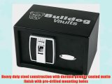 Bulldog Cases Vaults Digital Pistol Vault with Biometric (Fingerprint) Lock 7.25 x 11 x 8-Inch