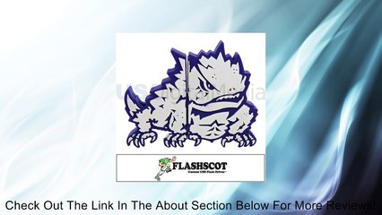 NCAA TCU "Horned Frog Shape" USB Drive, 4GB, TCU Review